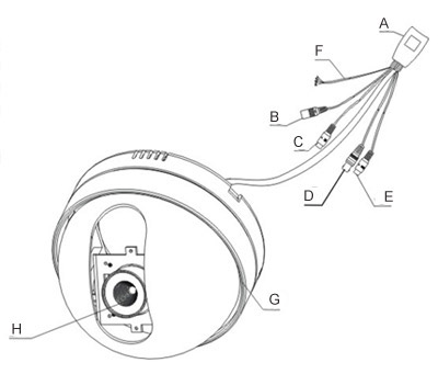 M7-CD550WS Components