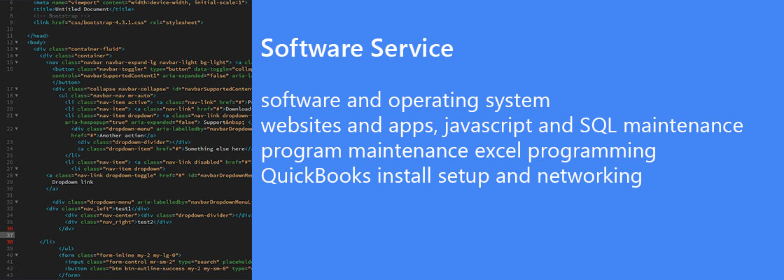 Software Services