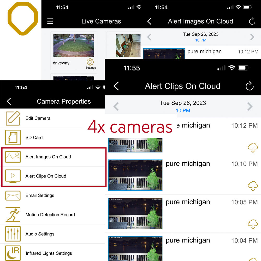 Cloud Storage for 4 Cameras, 30 Days Storage - Save Alert Images and Clips