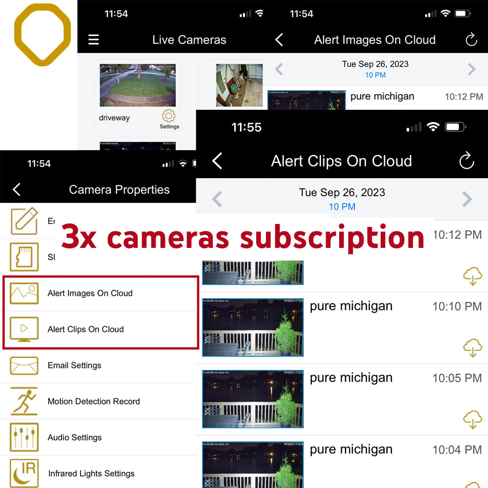 Cloud Storage for 3 Cameras, 30 Days Storage - Save Alert Images and Clips