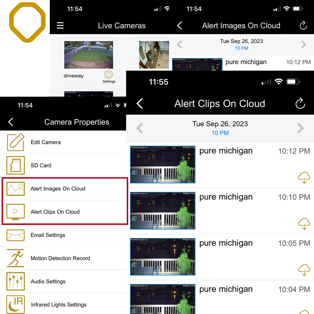 Cloud Storage for 3 Cameras, 30 Days Storage - Save Alert Images and Clips