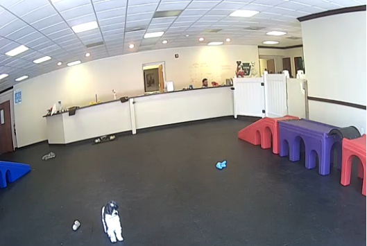 Camera 2