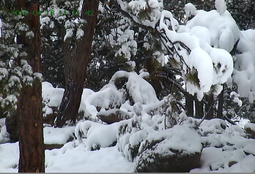 Arranjer Webcam