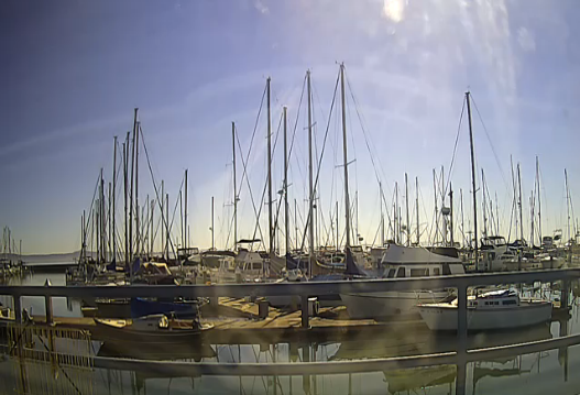 brisbane marina