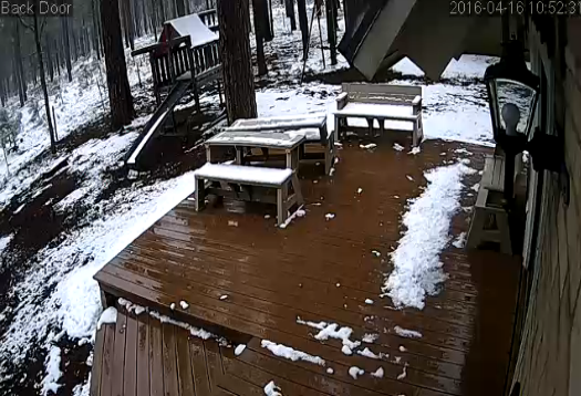 Back Door